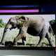 Illustration for article titled Holy Crap: First 150-Inch Plasma Photos